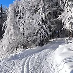 Chaloupka Pod Lipou Nyaraló *